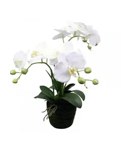 Supergreens Τεχνητό Φυτό Ορχιδέα Phalaenopsis Λευκό 42 εκ.