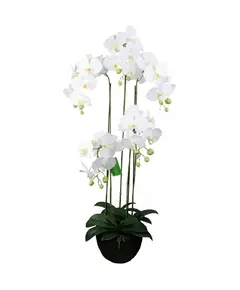 Supergreens Τεχνητό Φυτό Ορχιδέα Phalaenopsis Λευκό 67 εκ.