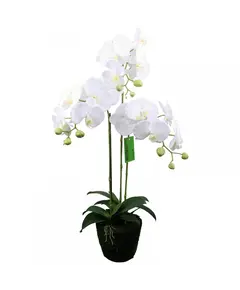 Supergreens Τεχνητό Φυτό Ορχιδέα Phalaenopsis Λευκό 80 εκ.