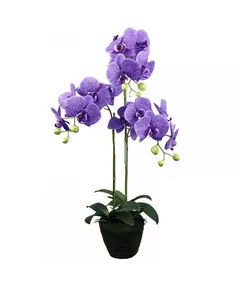 Supergreens Τεχνητό Φυτό Ορχιδέα Phalaenopsis Μωβ 80 εκ.