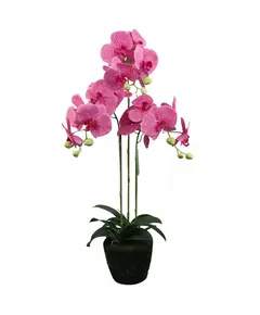 Supergreens Τεχνητό Φυτό Ορχιδέα Phalaenopsis Ροζ 80 εκ.