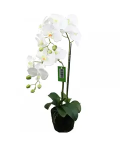 Supergreens Τεχνητό Φυτό Ορχιδέα Phalaenopsis Λευκό 110 εκ.