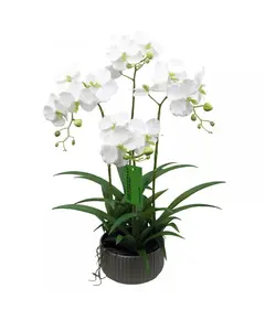 Supergreens Τεχνητό Φυτό Ορχιδέα Phalaenopsis Λευκό 60 εκ.