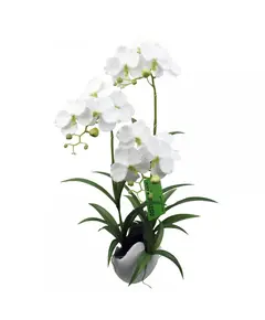 Supergreens Τεχνητό Φυτό Ορχιδέα Phalaenopsis Λευκό 57 εκ.