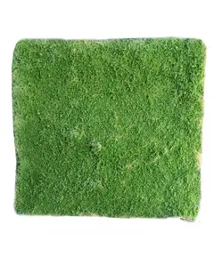 Supergreens Τεχνητή Φυλλωσιά Moss Πράσινη 100x100 εκ.