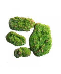 Supergreens Συσκευασία Τεχνητού Moss