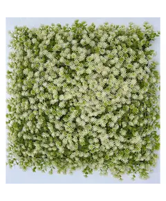 Supergreens Τεχνητή Φυλλωσιά Moss "Haircap" Λευκή 50x50 εκ.