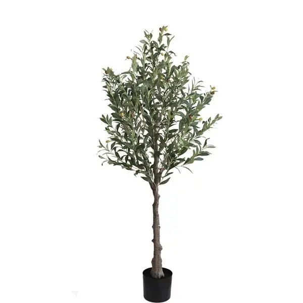 OLIVE TREE NP439_150 ΥΨΟΣ 150cm NewPlan