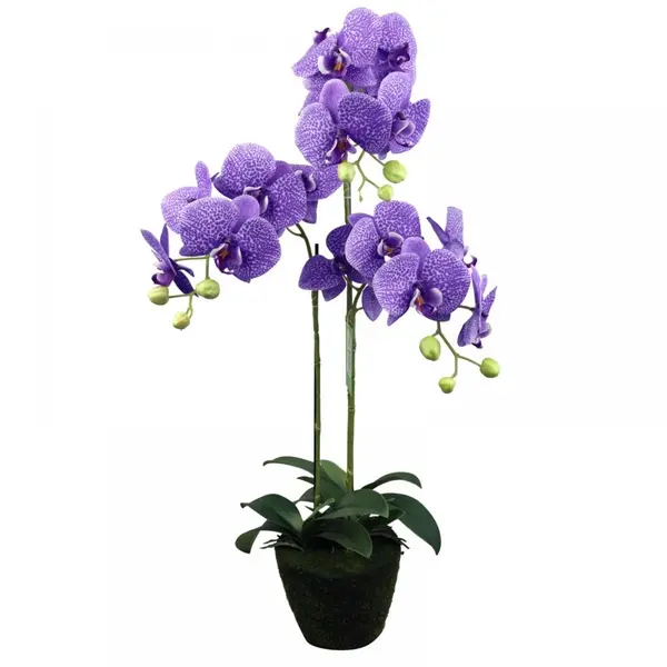 Supergreens Τεχνητό Φυτό Ορχιδέα Phalaenopsis Μωβ 80 εκ.