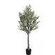 OLIVE TREE NP439_150 ΥΨΟΣ 150cm NewPlan